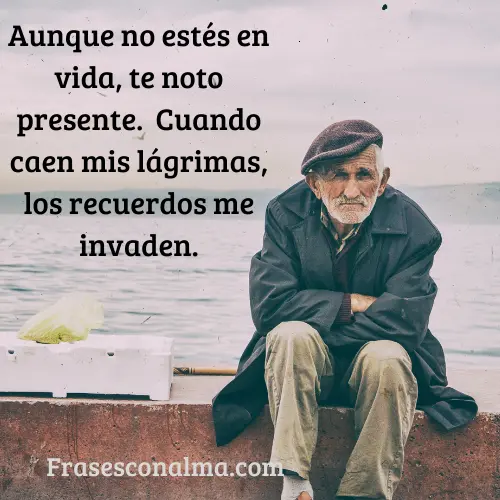frases tristes