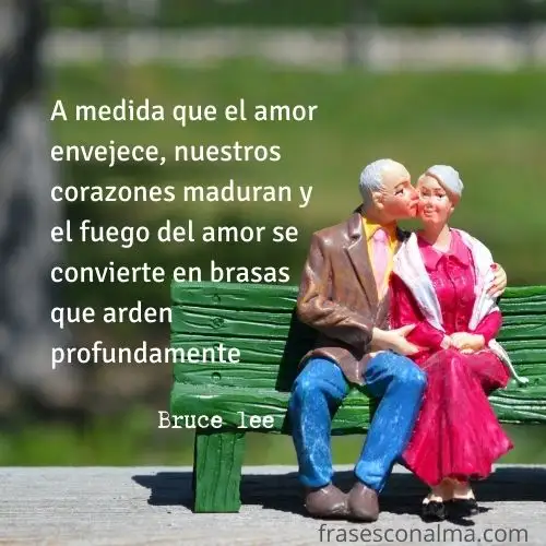 frases bruce lee amor