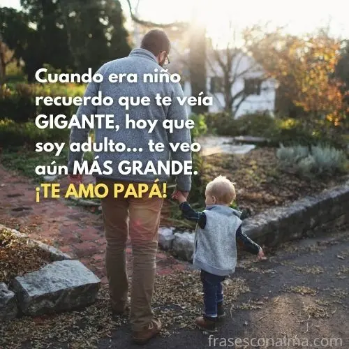 frases bonitas del dia del padre