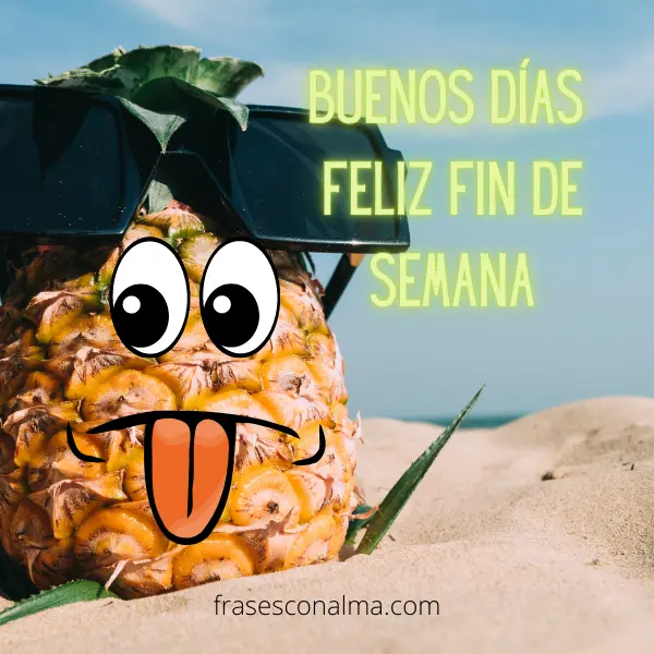 piña graciosa en la playa