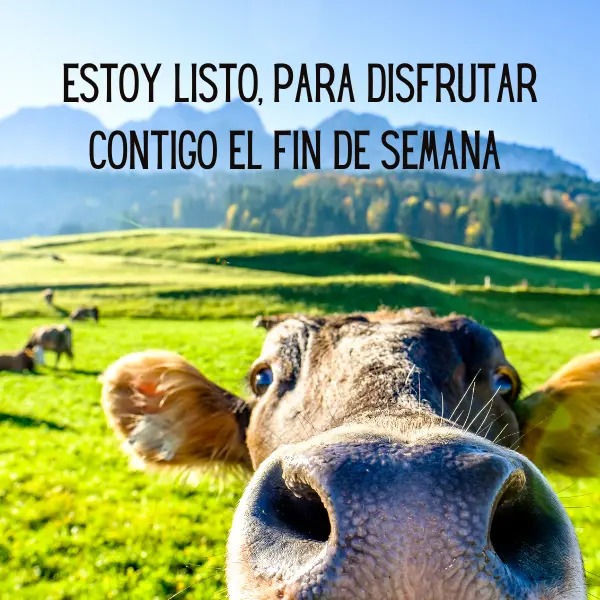 Frases de fin de semana para disfrutar de la naturañeza