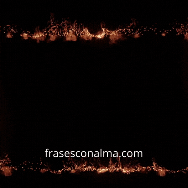 viernes noche frases gif