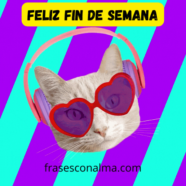 Frases de fin de semana gato con música gif