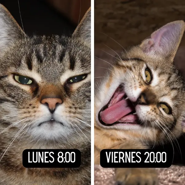 Frases de fin de semana
