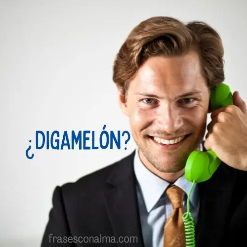 Digamielon