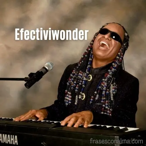 Efectiviewonder