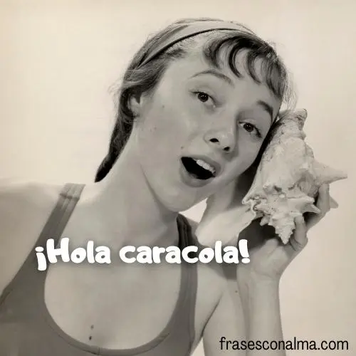Hola caracola