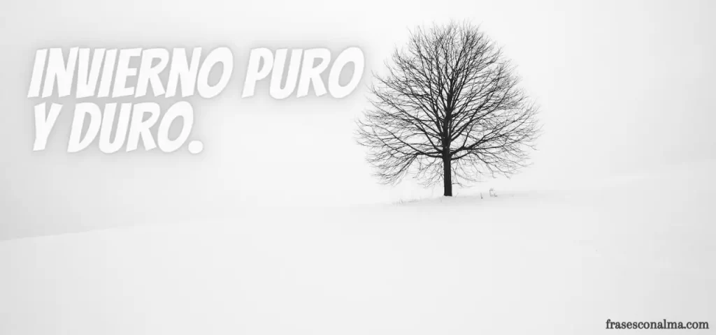 Frases-de-invierno-de-comienzo