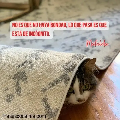 frases mafalda whatsapp divertidas