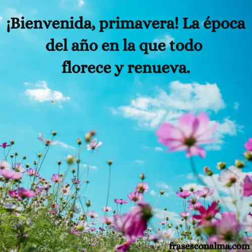 Frases de la primavera