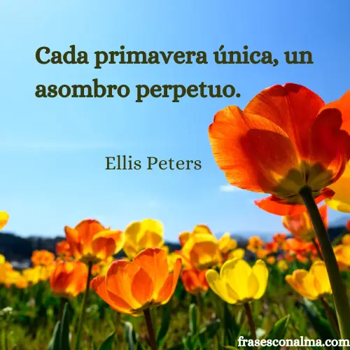 Frases positivas de primavera
