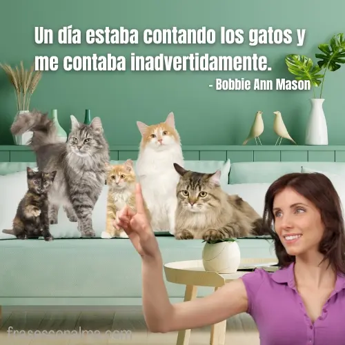 citas sobre gatos
