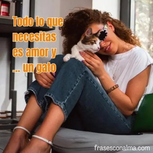 frases de gatos cortos
